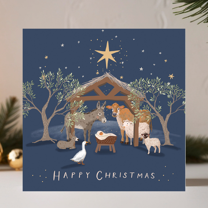 Around The Manger Christmas cards (10 pack)