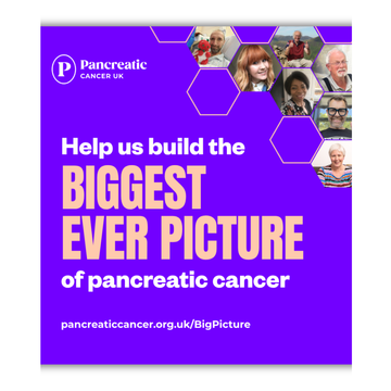 The Big Picture poster