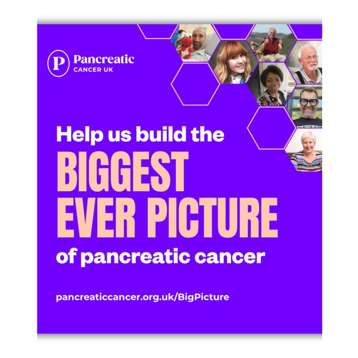 The Big Picture Poster (Welsh)