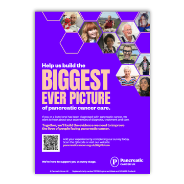 The Big Picture poster