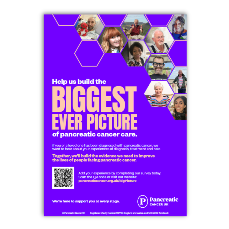 The Big Picture poster