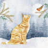 Snow cat Christmas cards (10 pack)