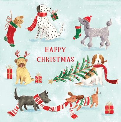 Festive dogs Christmas cards (10 pack)