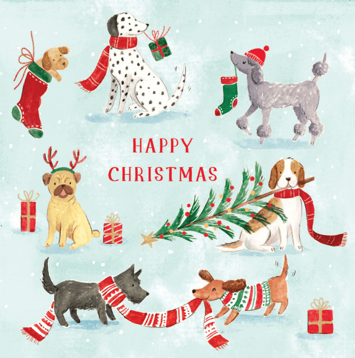 Festive dogs Christmas cards (10 pack)