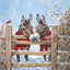 Two donkeys in red scarves standing behind a wooden fence in a snowy scene.