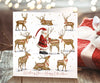 Santa feeding the reindeer Christmas cards (10 pack)