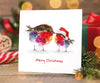 Fluffy robin junior Christmas cards (10 pack)