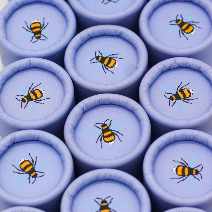 Wildflower seedball tube - Forget-me-not