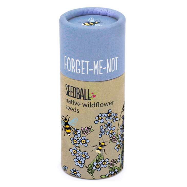 Wildflower seedball tube - Forget-me-not