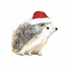 Hedgehog in Santa hat Christmas cards (10 pack)