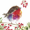 Fluffy robin on berry branch Christmas cards (10 pack)