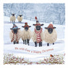 Warm winter woollies Christmas cards (10 pack)