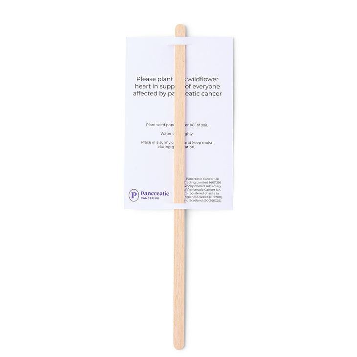 Seeded paper hearts (pack of 10)