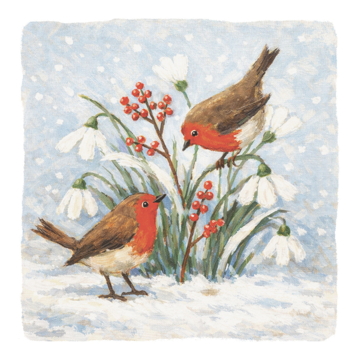 Robins Among The Snowdrops Christmas cards (10 pack)