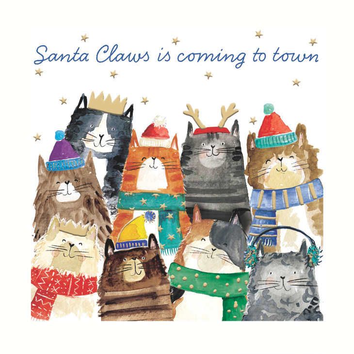 Santa Claws Christmas cards (10 pack)