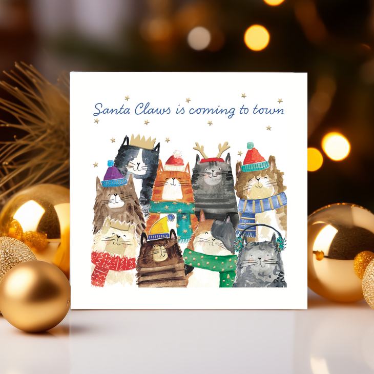 Santa Claws Christmas cards (10 pack)