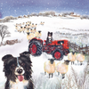 Shep's tractor Christmas cards (10 pack)