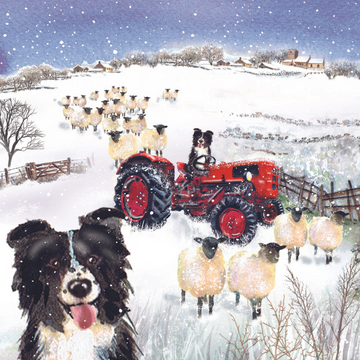 A Christmas card pack featuring an illustration of a sheep dog, sheep, and a red tractor in a snowy field.