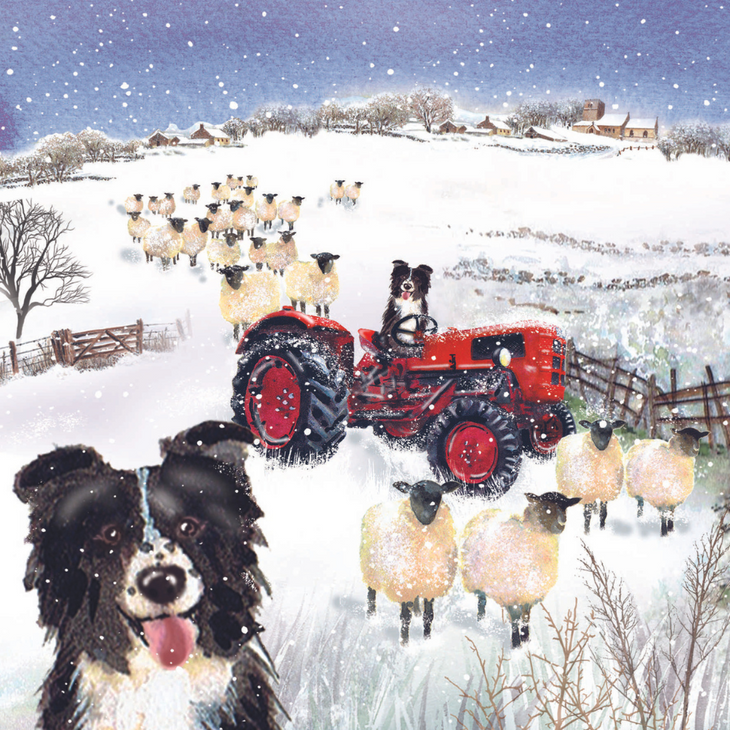 A Christmas card pack featuring an illustration of a sheep dog, sheep, and a red tractor in a snowy field.