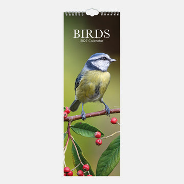 2027 Slimline calendar - Birds