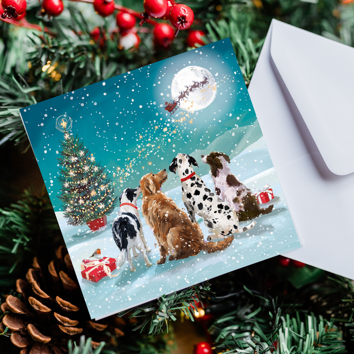 Watching for Santa Christmas cards (10 pack)