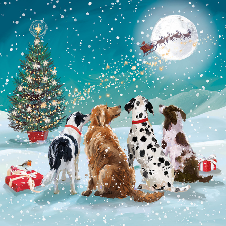 Watching for Santa Christmas cards (10 pack)