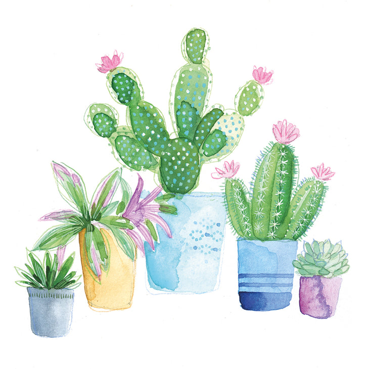 Cacti - greeting card
